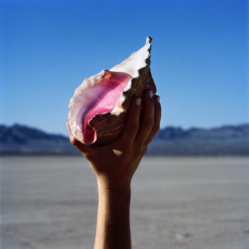 Wonderful Wonderful Cover Art